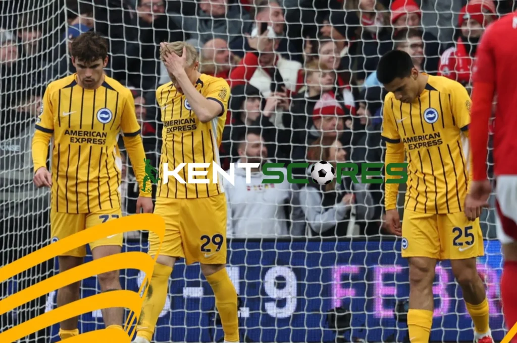 Devastating Defeat: Brighton Fans Cry "Sack the Whole Team!" After 7-0 Rout by Nottingham Forest 4 20250201 161128